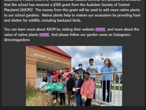 2023 green school app final (8)